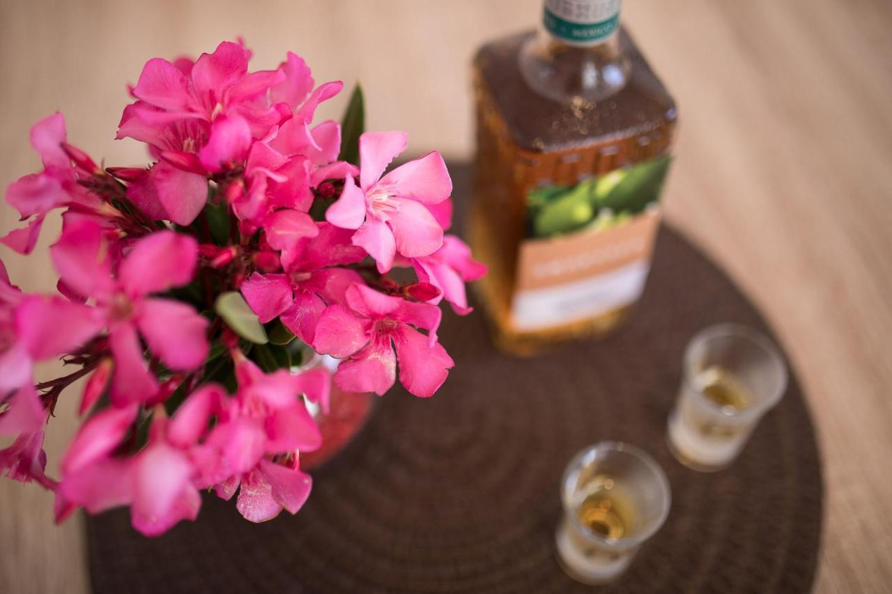Oleander * Punat